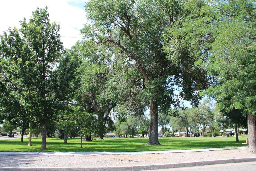 Picture of Alvarado Park 2000 Alvarado Dr NE, Albuquerque, NM 87110